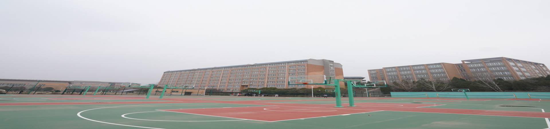 tyc522cc太阳成集团